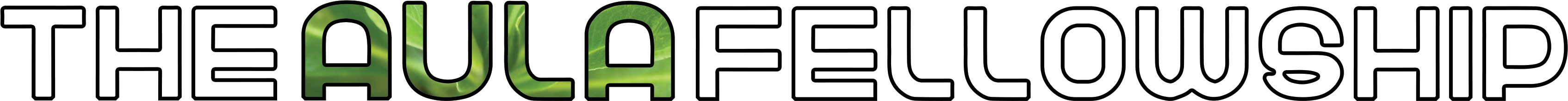 The Aula Fellowship logo